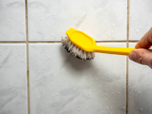Best Attic Mold Removal  in Michigan City, IN