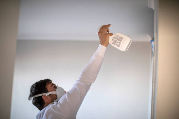 Best Mold Damage Repair  in Michigan City, IN